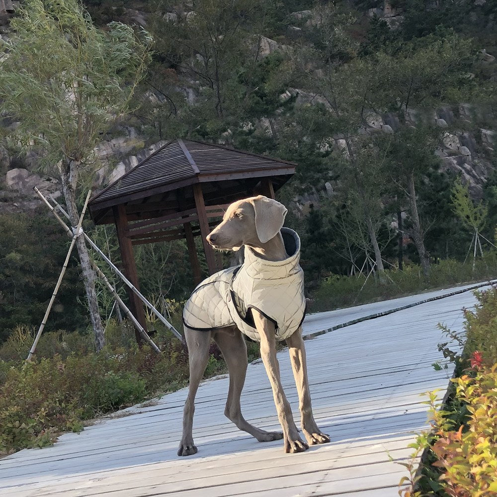 Pet Full Body Reflective Tactical Jacket Clothing