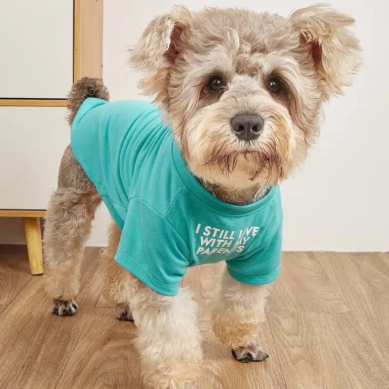 Pet Round Neck T-Shirt Apparel