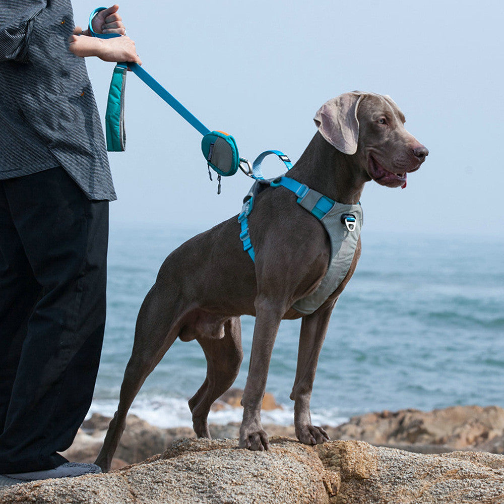 Heavy Duty Pet Chest Strap Leash Storage Control Set