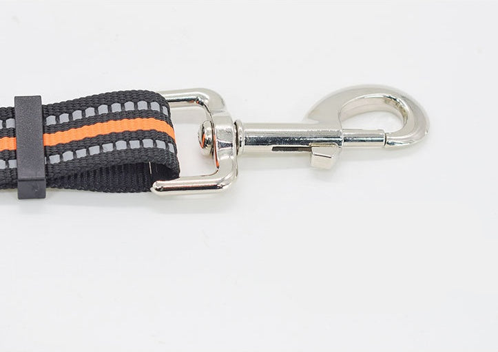 Nylon Pet Retractable Assisted Control Leash