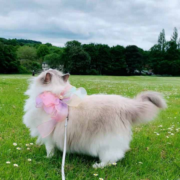 Butterfly Design Retractable Pet Leash Anti Escape Walking Tool