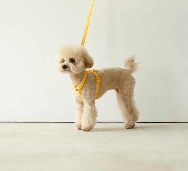 Macaron Style Pet Fashion Control Leash Rope
