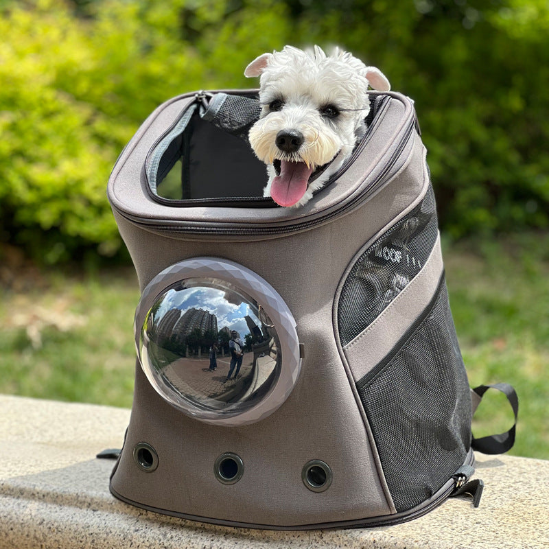 Portable Pet Carrier Backpack Medium Size Travel Bag