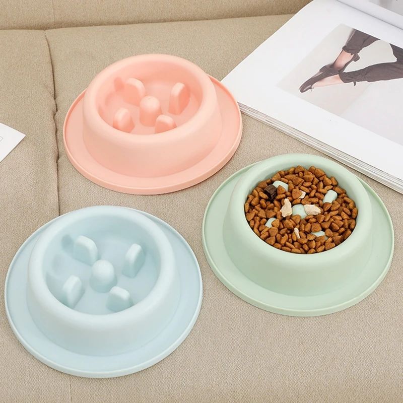 Pet Slow Eating Anti Choking Interactive Feeding Bowl