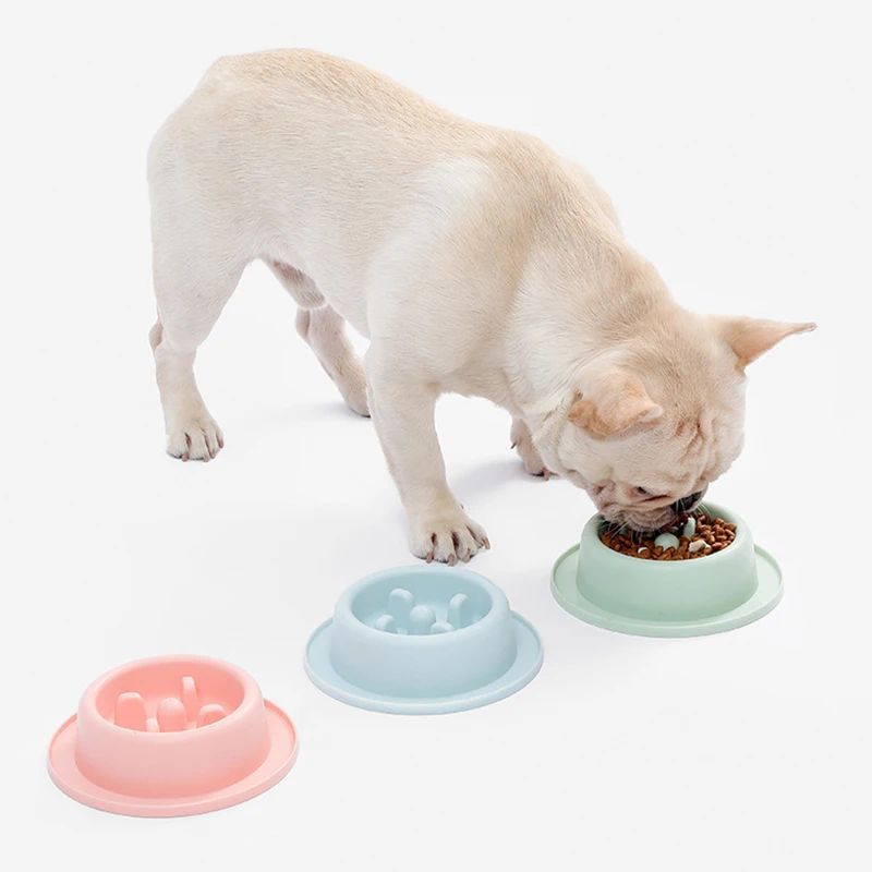 Pet Slow Eating Anti Choking Interactive Feeding Bowl