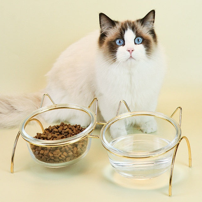 Pet Glass Feeding Bowl With Metal Rack Accessories