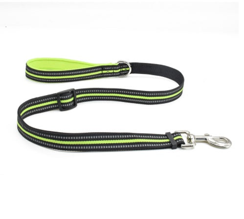 Nylon Pet Retractable Assisted Control Leash