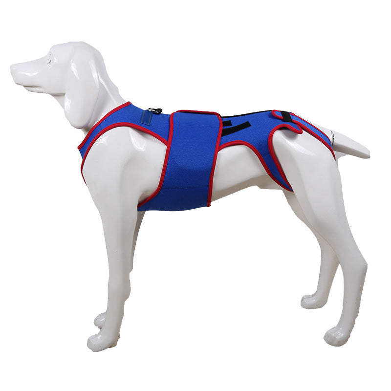 Pet Spine Support Jacket Prevents Hunching Posture Correction