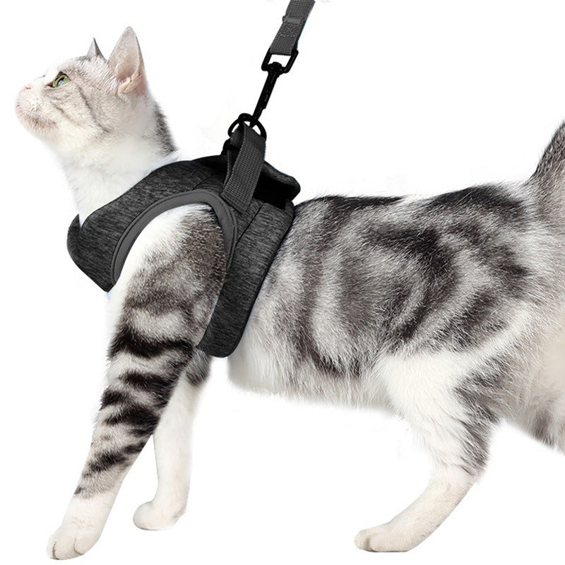 Breathable Lightweight Pet Chest Strap Lace Rope Leash