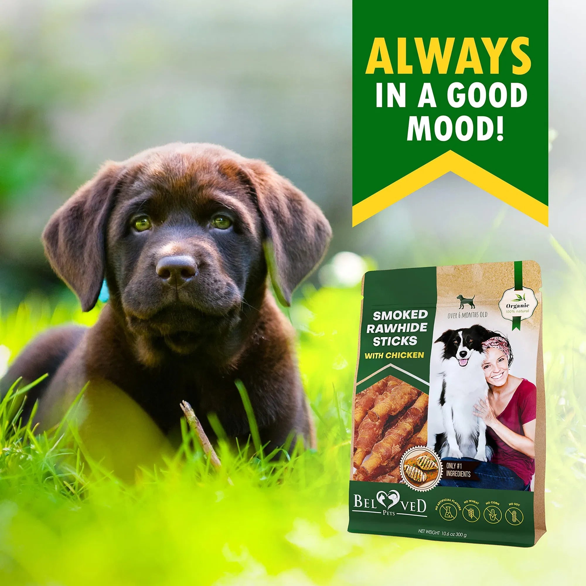 Chicken Wrapped Rawhide Chew Treats Bulk Pack