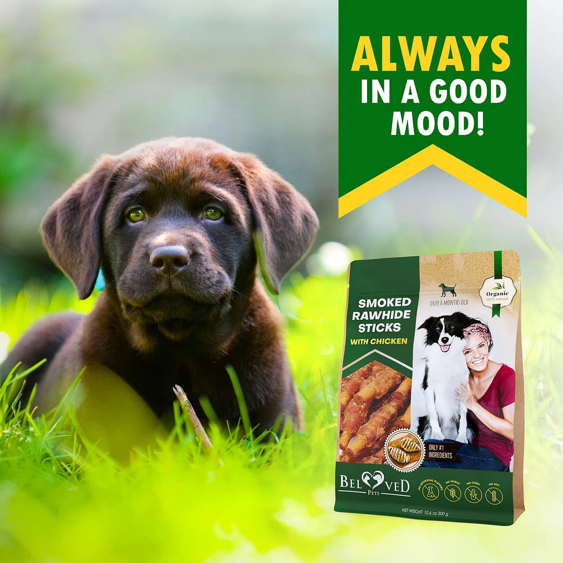 Chicken Wrapped Rawhide Chew Treats Bulk Pack