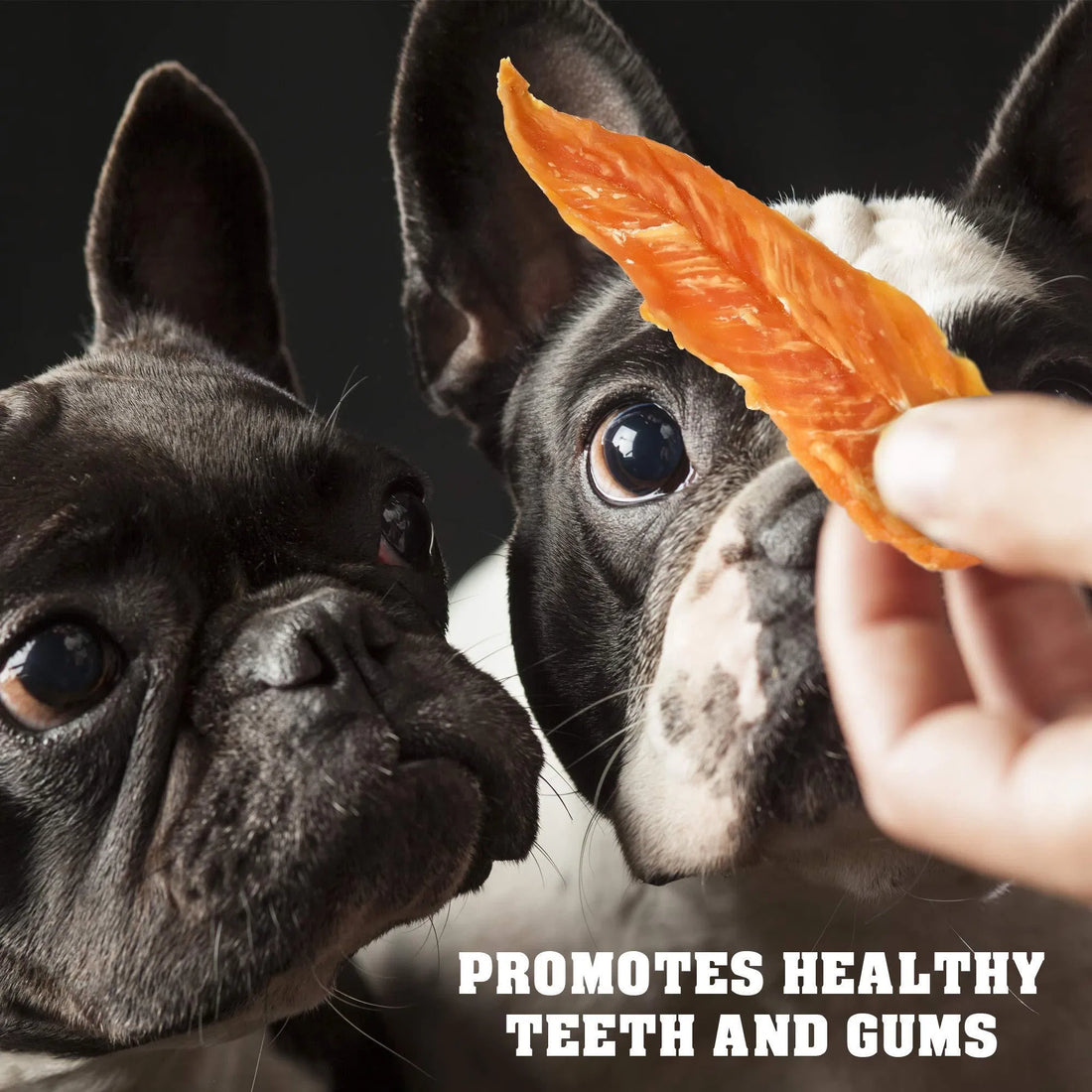 Grain Free Chicken Jerky Training Treats 1.5Lb, 24 oz