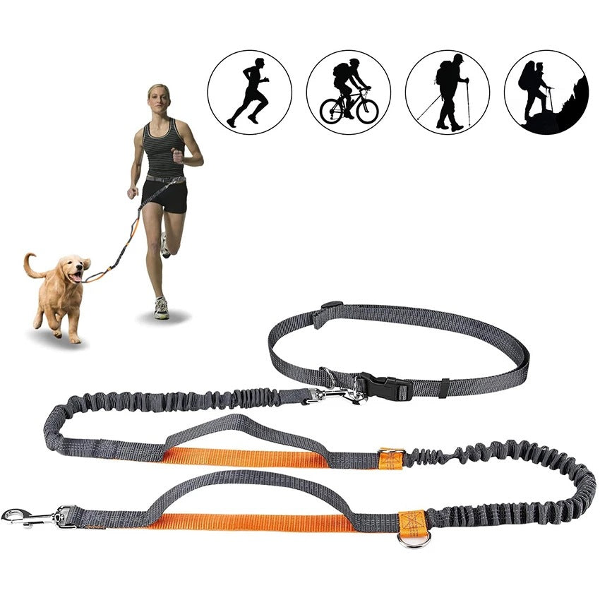 Adjustable Pet Harness Collar Jogging Control Leash