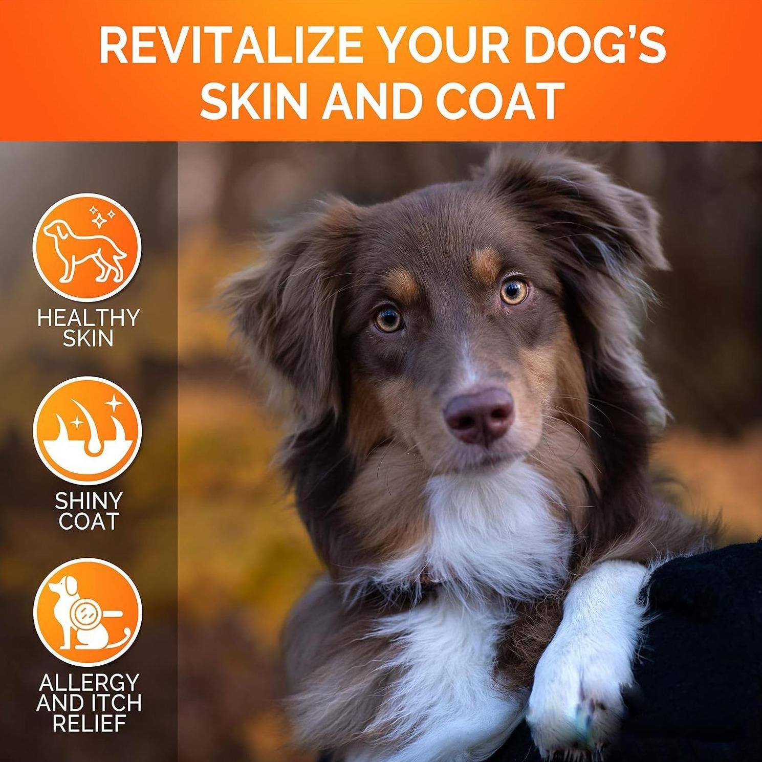 Omega 3 Fish Oil Skin And Coat Chews