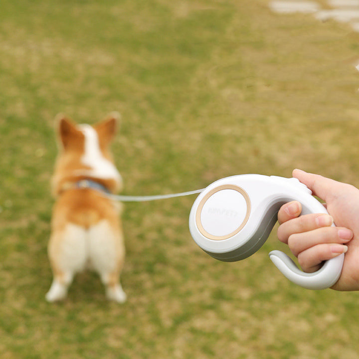 Automatic Retractable Pet Control Leash Rope