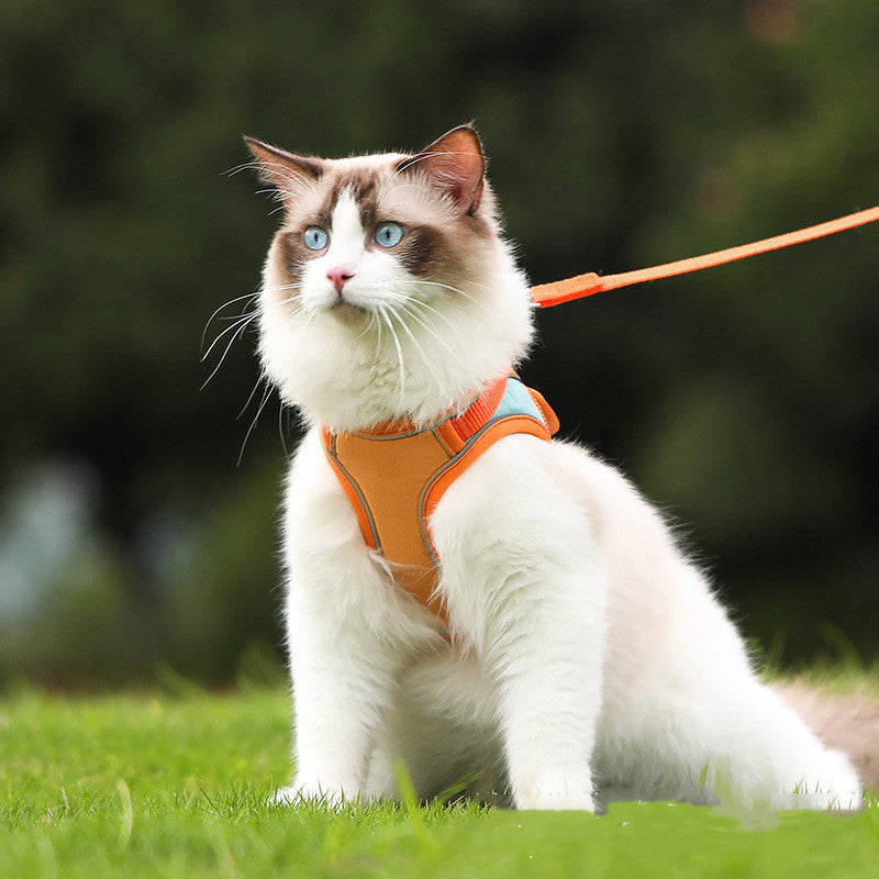 Reflective Anti Escape Pet Harness Leash Set