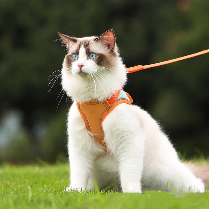 Reflective Anti Escape Pet Harness Leash Set