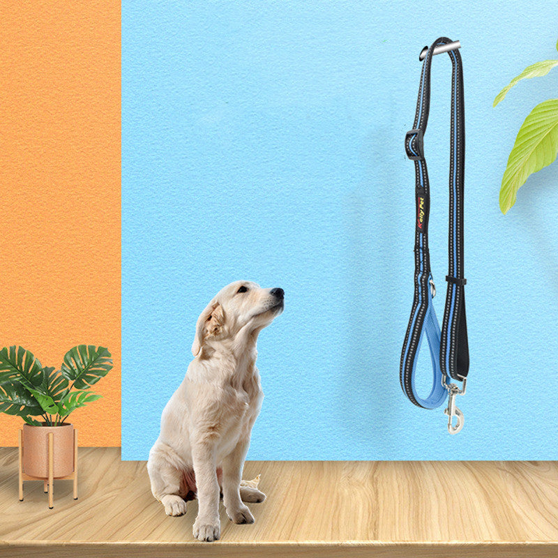 Nylon Pet Retractable Assisted Control Leash