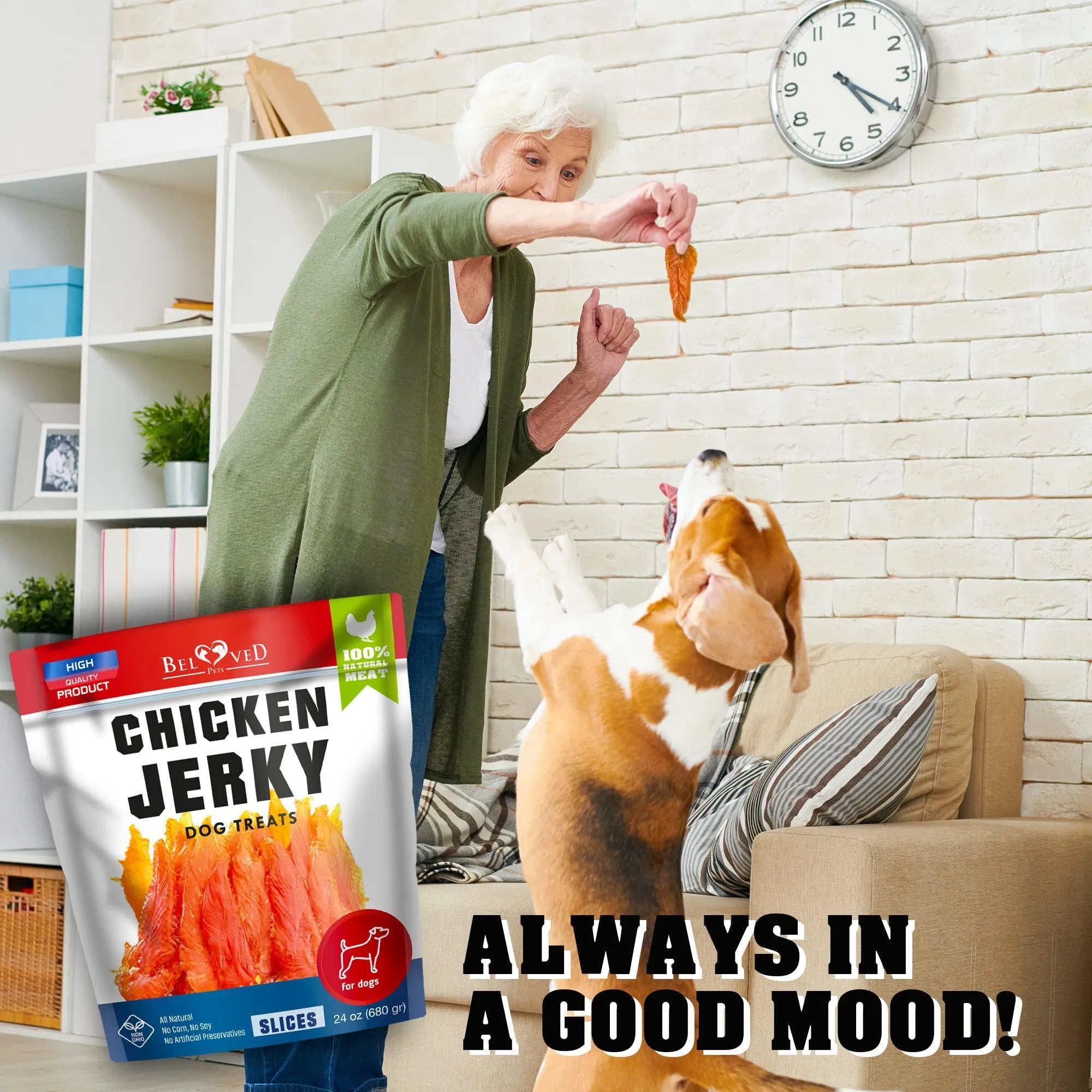 Grain Free Chicken Jerky Training Treats 1.5Lb, 24 oz