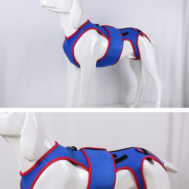 Pet Spine Support Jacket Prevents Hunching Posture Correction