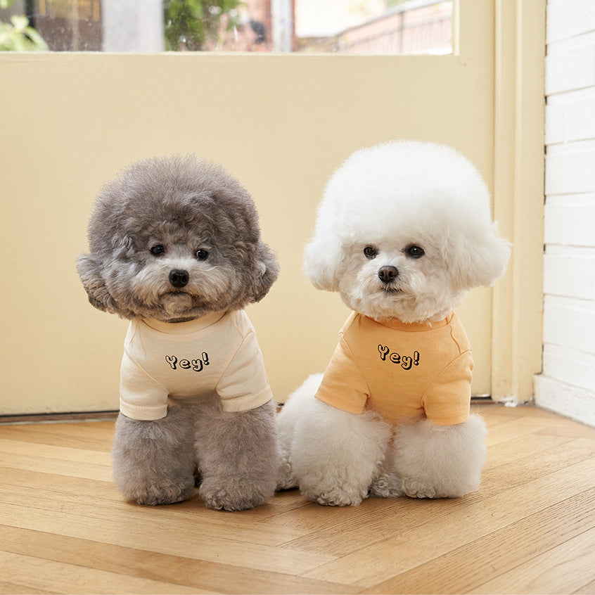 Pet Korean Style Cotton Color Print Short Sleeve T-Shirt