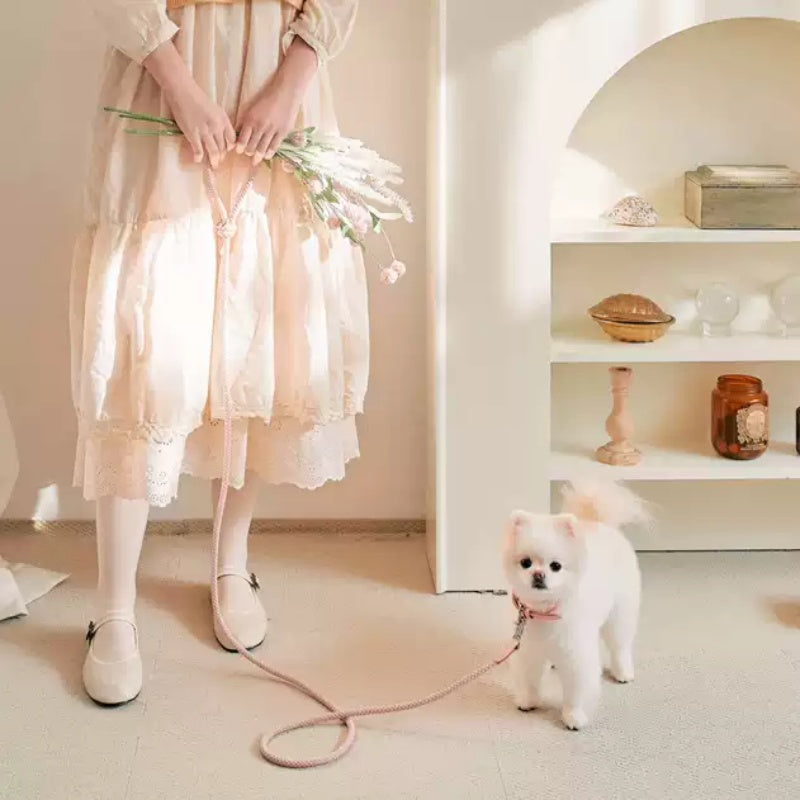 Leather Pet Collar Handheld Rope Control Leash