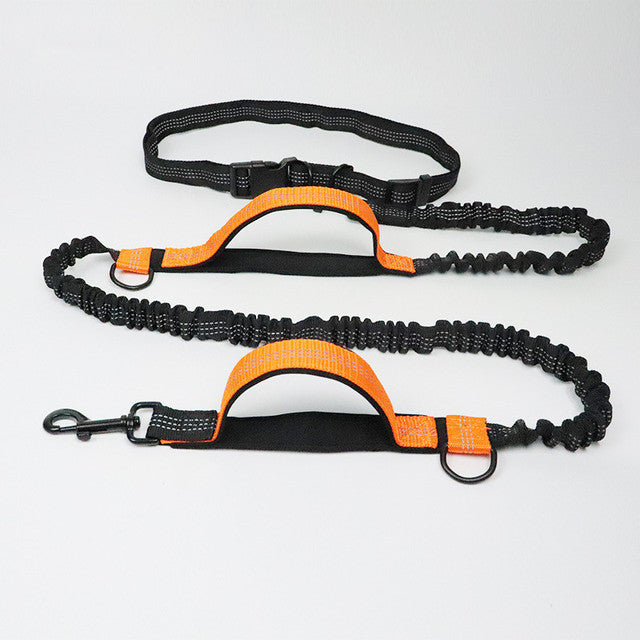 Adjustable Pet Harness Collar Jogging Control Leash