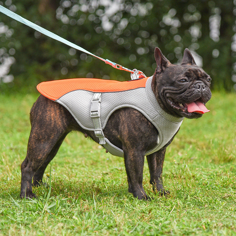 Breathable Cooling Pet Vest For Summer Outdoor Use